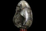 Septarian Dragon Egg Geode - Black Crystals #98881-3